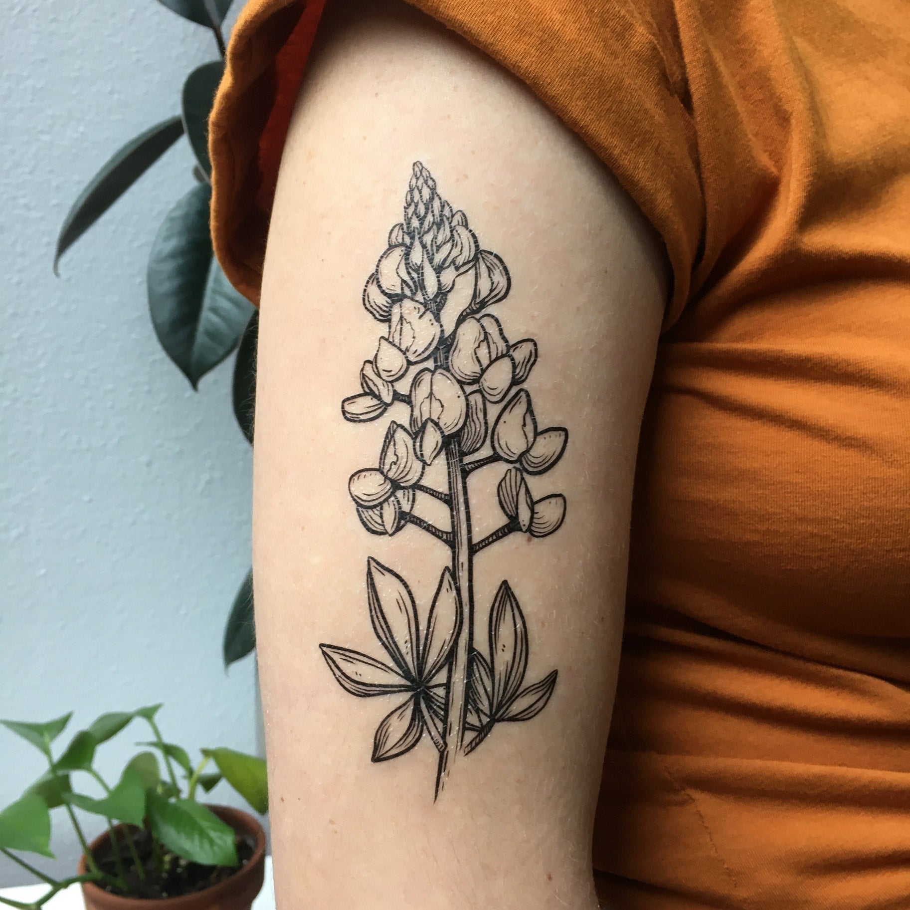 Depiction Tattoo Gallery : Tattoos : Flower : Bluebonnet