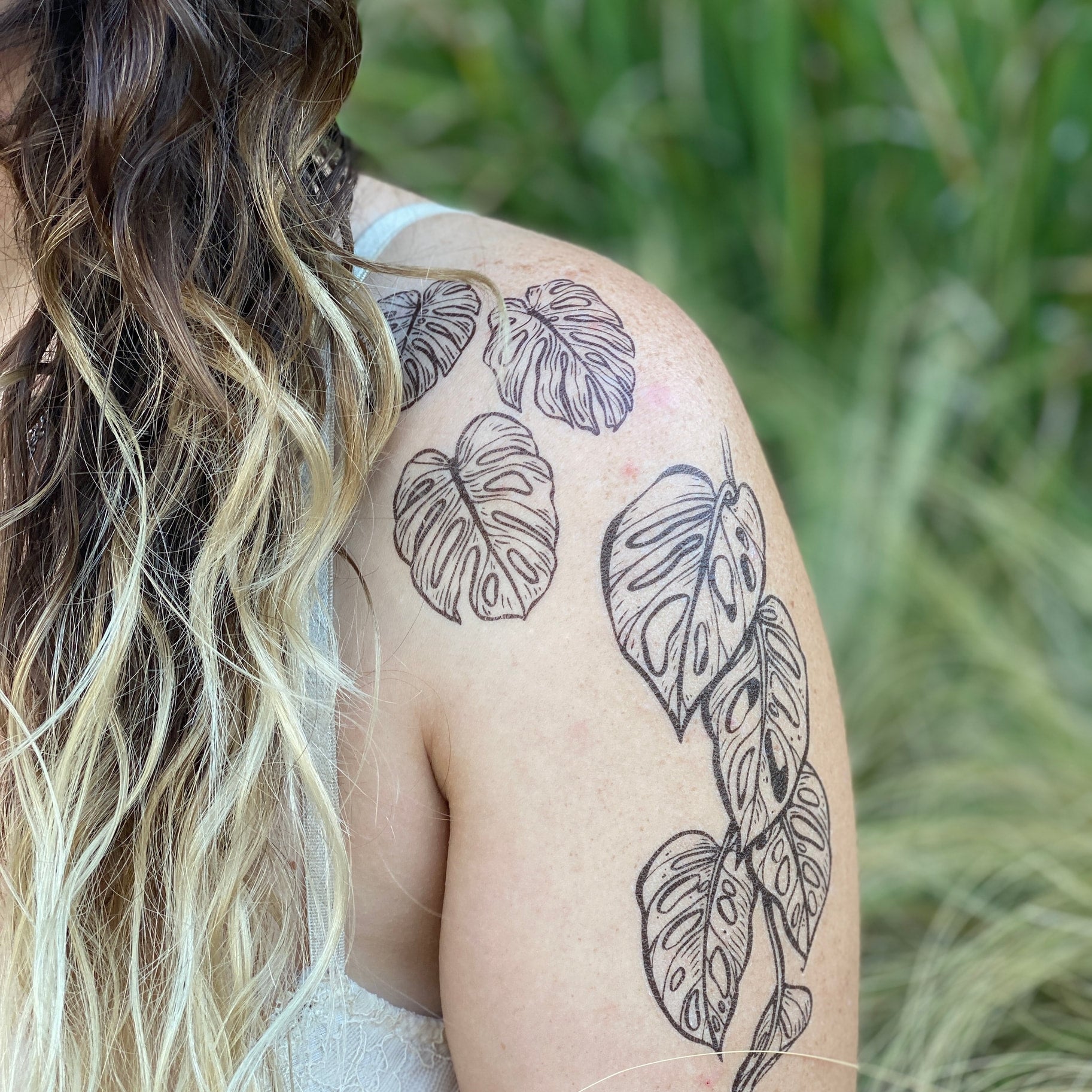 Rit Kit Tattoo - boom! baby Monstera leaves with the roots... | Facebook